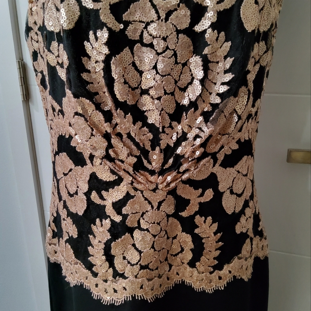 Tadashi Shoji Neoprene and Paillette Lace Dress Size 12 - Picture 4 of 12
